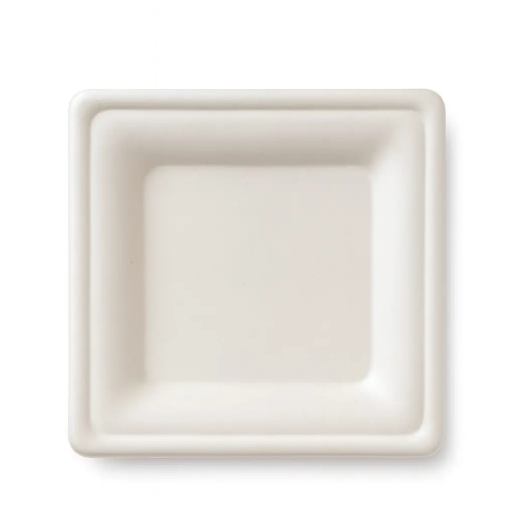 [PIA.B.PIAN26X26.B.50] PIATTI QUADRI PIANI  BIO DA CM 26X26 