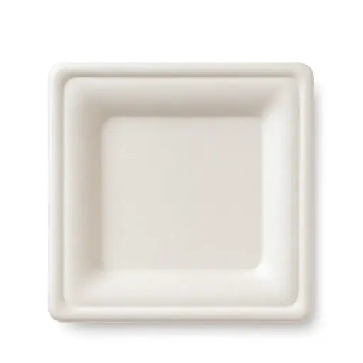 [PIA.B.PIAN26X26.B.50] PIATTI QUADRI PIANI  BIO DA CM 26X26 